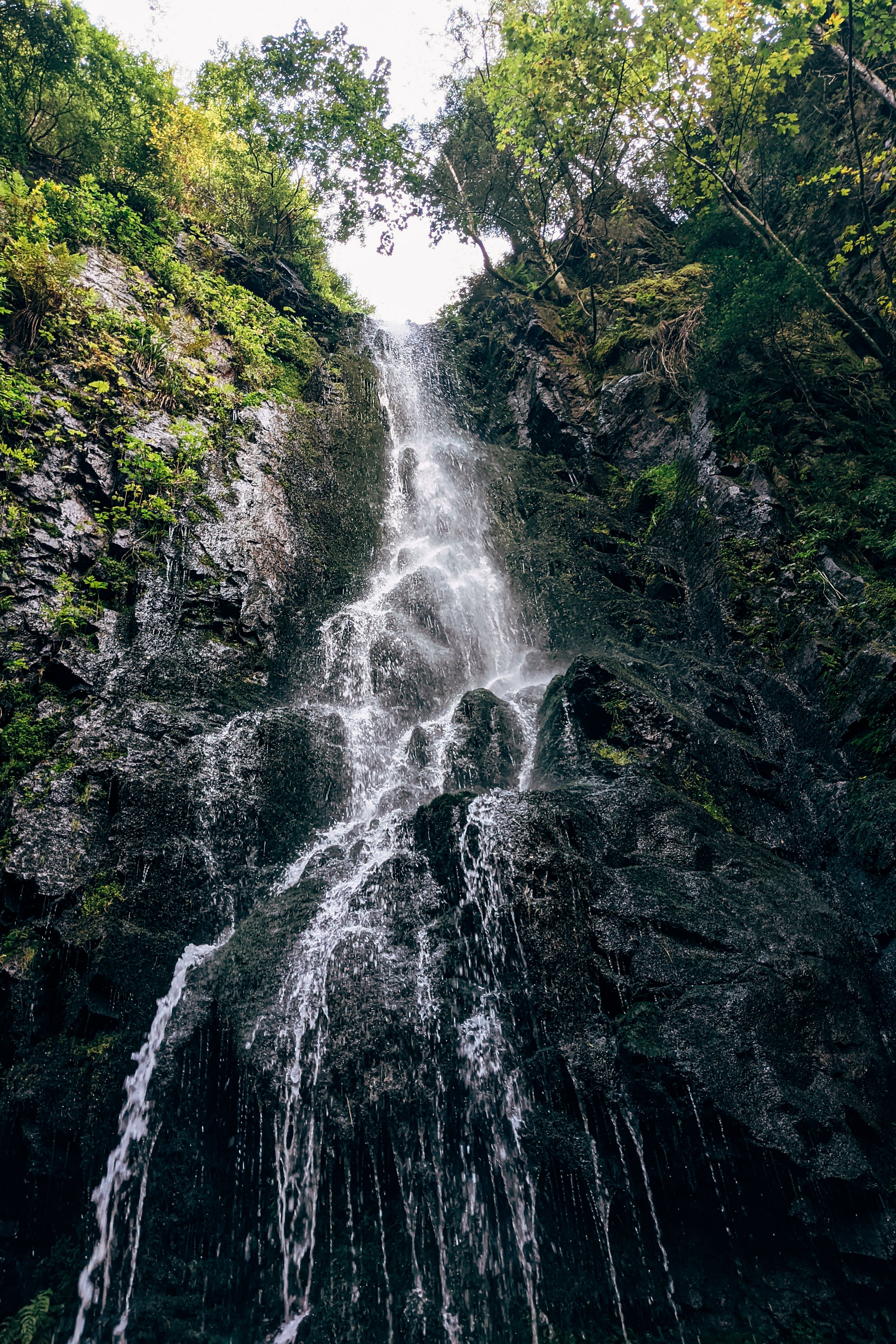 Menikmati Kesegaran Air Terjun: Oase di Tengah Hutan