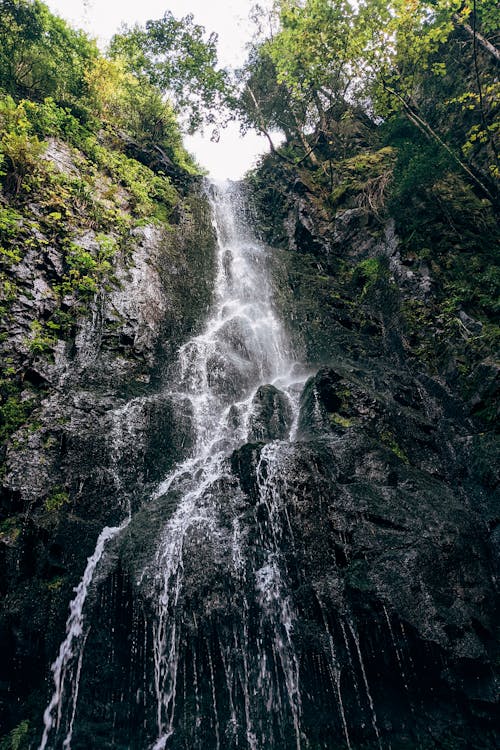 Gratis lagerfoto af cascading, flyde, kaskade