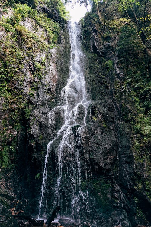 Gratis lagerfoto af cascading, flyde, kaskade