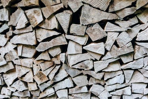 Free Stacked Wooden Logs  Stock Photo