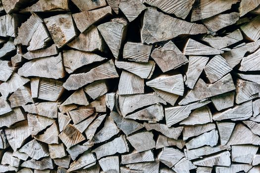 Immagine gratuita di abbaiare, accogliente, ambiente
