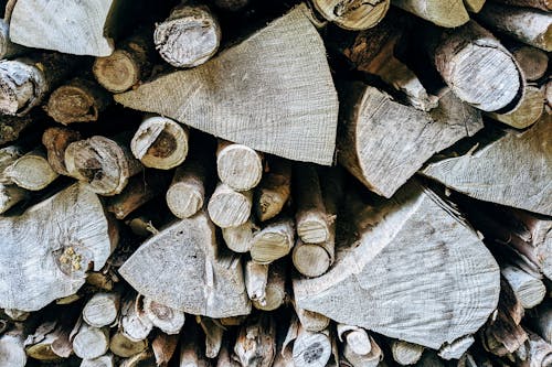 Free Close-Up Shot of a Pile of Chopped Woods Stock Photo