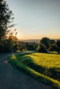 Free stock photo of apple trees, autumn, Baden-Württemberg