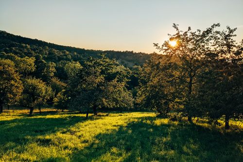 Free Capture of a tranquil sunset over a lush meadow and trees in Mössingen, Germany. Stock Photo