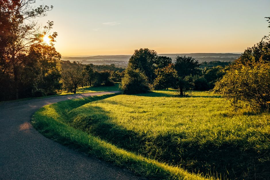 Golden hour walk downhill