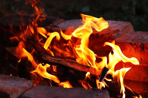 Free stock photo of beauty of nature, bonfire, fire