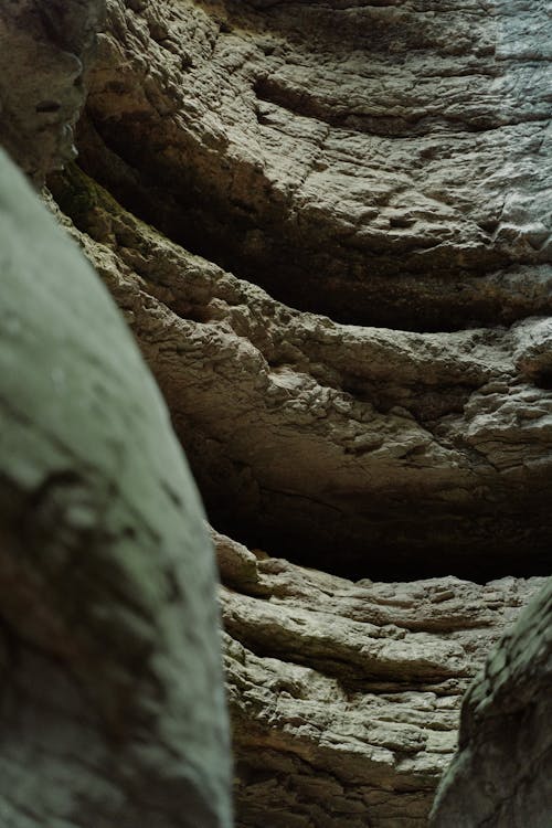 Δωρεάν στοκ φωτογραφιών με rock, ασβεστόλιθος, γκρο πλαν