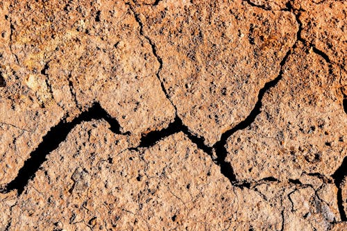 Free stock photo of barren land, crack, cracks