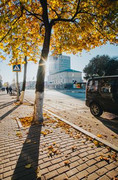 A sunlit autumn street in Ulyanovsk, Russia with fallen leaves, trees, and a parked car. Captures urban life.