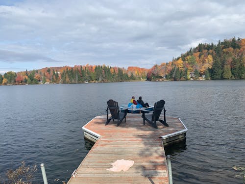 Free stock photo of autumn, country side, dock