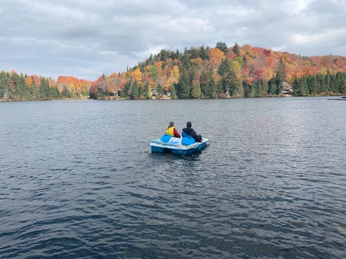 Free stock photo of autumn, country side, dock