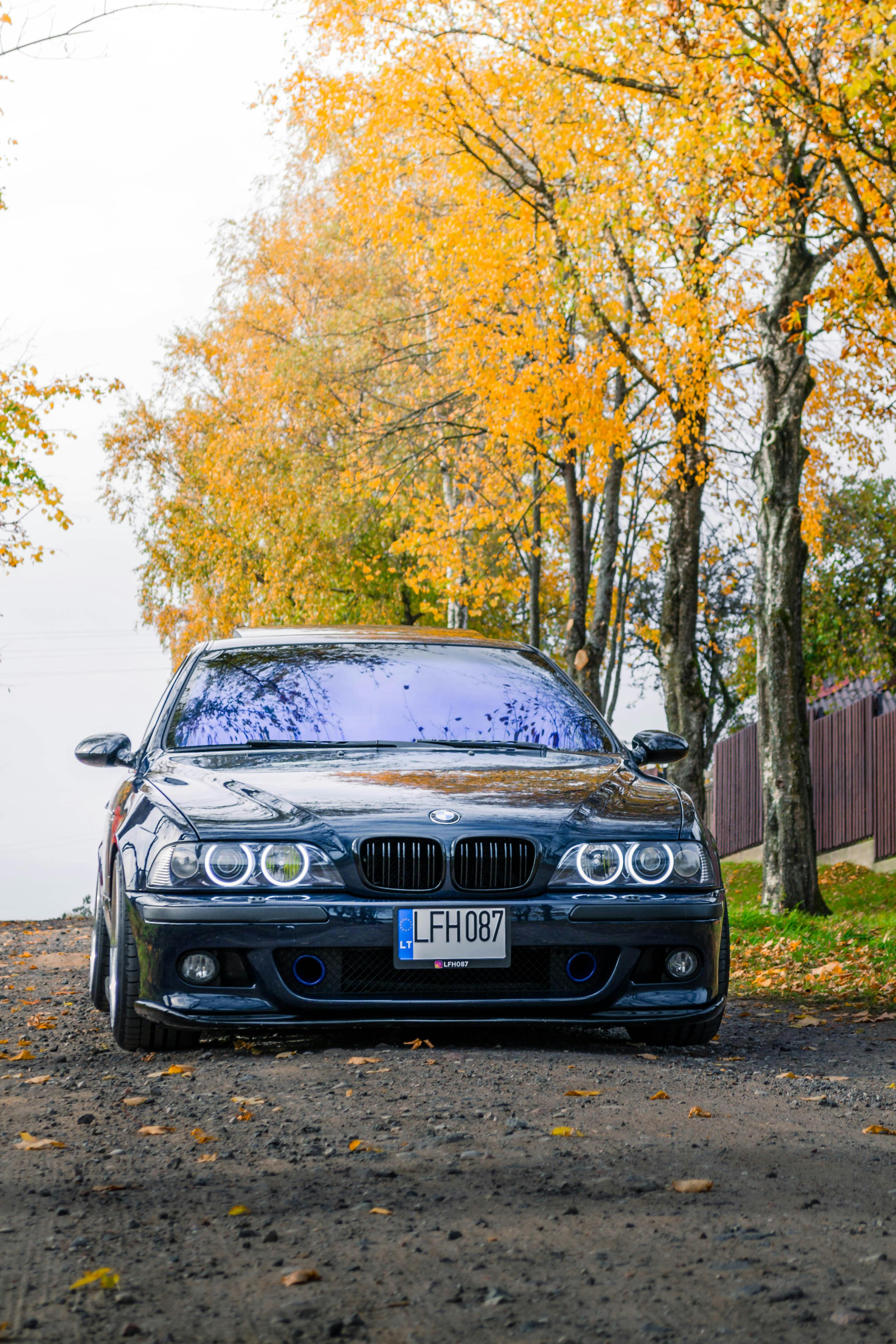 Bmw 5 Series Pictures  Download Free Images on Unsplash
