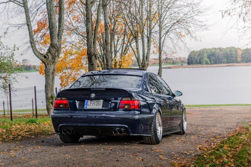 BMW 5 Series on Road Near Lake