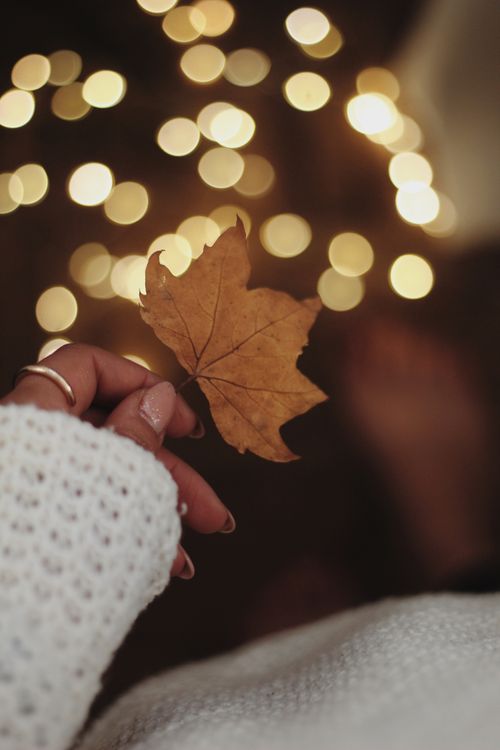 Free A cozy autumn scene with a hand holding a maple leaf and warm bokeh lights in the background. Stock Photo