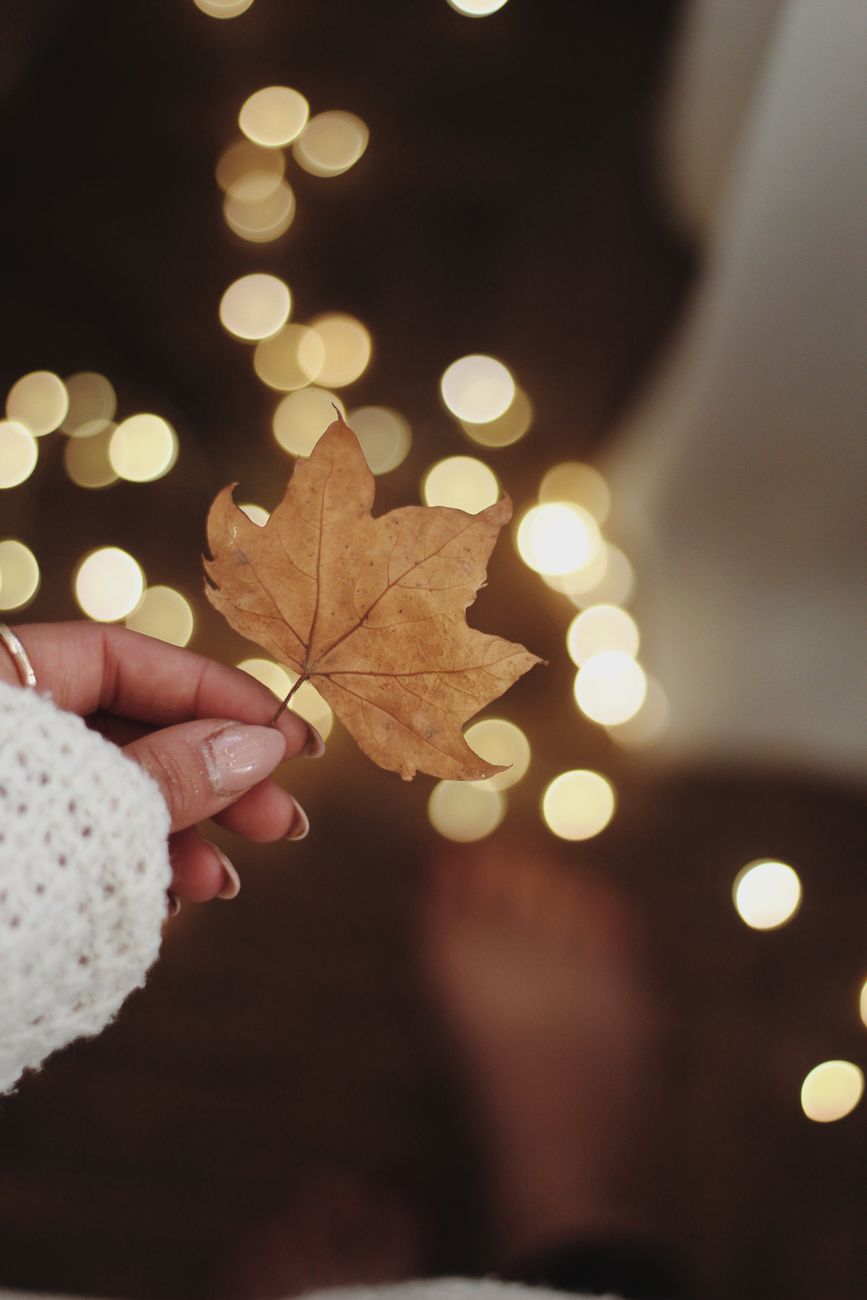 Close-up of a hand holding a brown maple leaf with warm bokeh lights in the background.