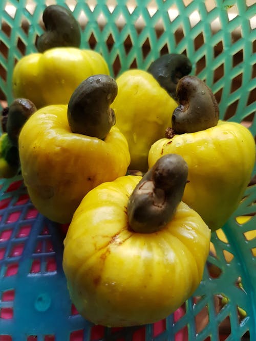 Free stock photo of kashuw fruit
