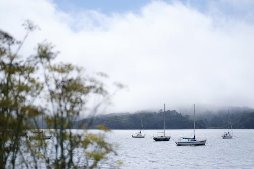 Fotobanka s bezplatnými fotkami na tému člny, malé plachetnice, obloha pokrytá oblakmi