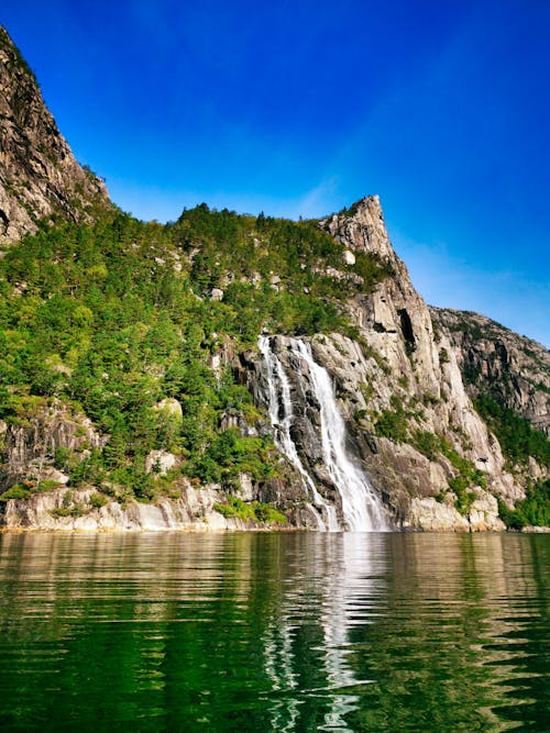 Foto profissional grátis de água, ao ar livre, árvores verdes