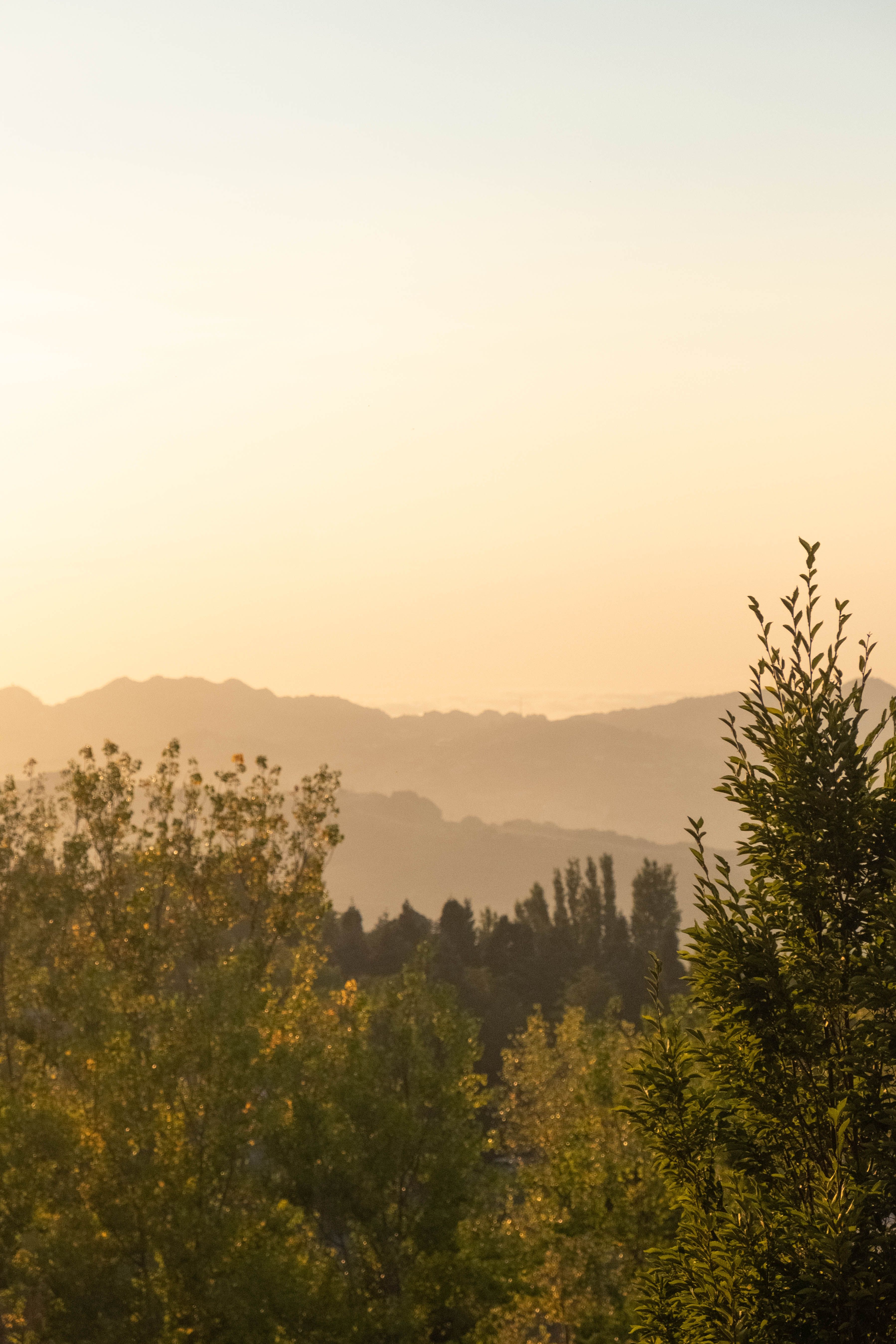 Capture Golden-Hour Landscapes on Summer Road Trips Effortlessly — stay mobile with a comfortable strap on long summer walks