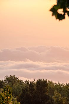 Tranquil view of fluffy clouds above a lush forest during sunrise, creating a serene atmosphere