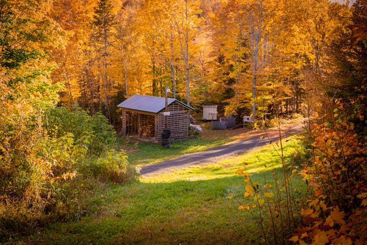 Wooden Cabin In Fall Forest Landscape