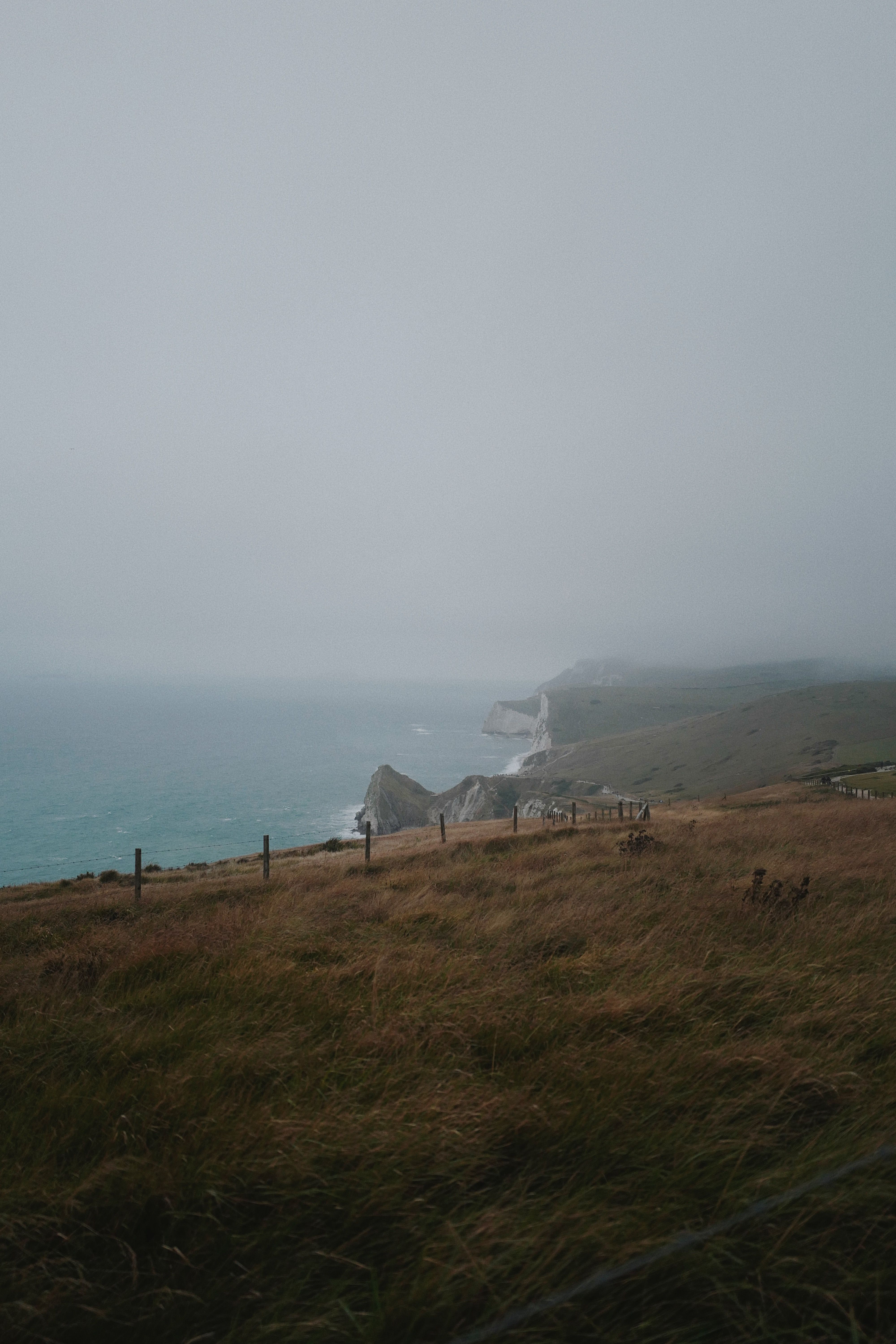 A serene coastal view featuring rolling hills, grass fields, and a misty sea.
