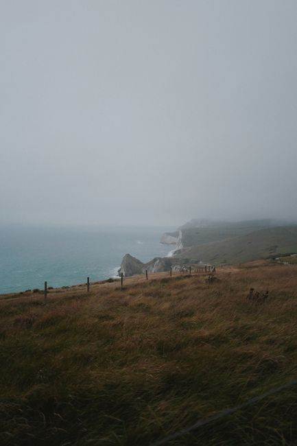 A serene coastal view featuring rolling hills, grass fields, and a misty sea.