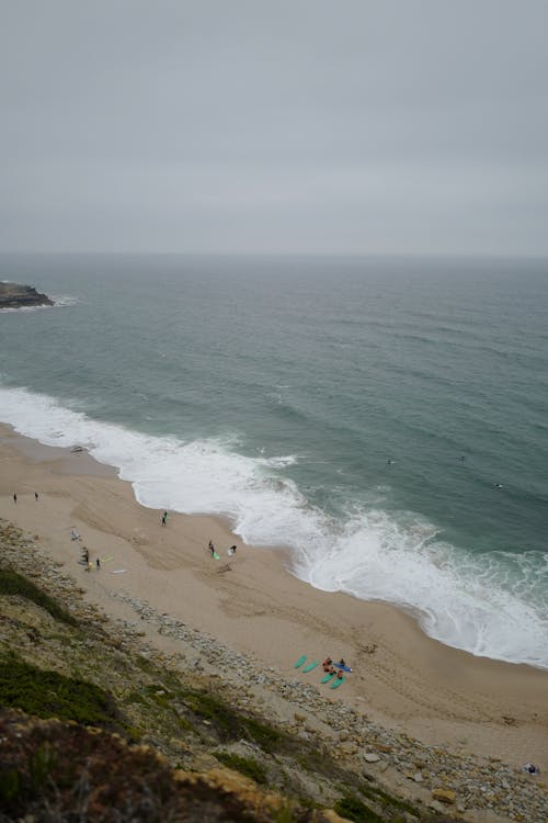 People on the Shore of a Beach