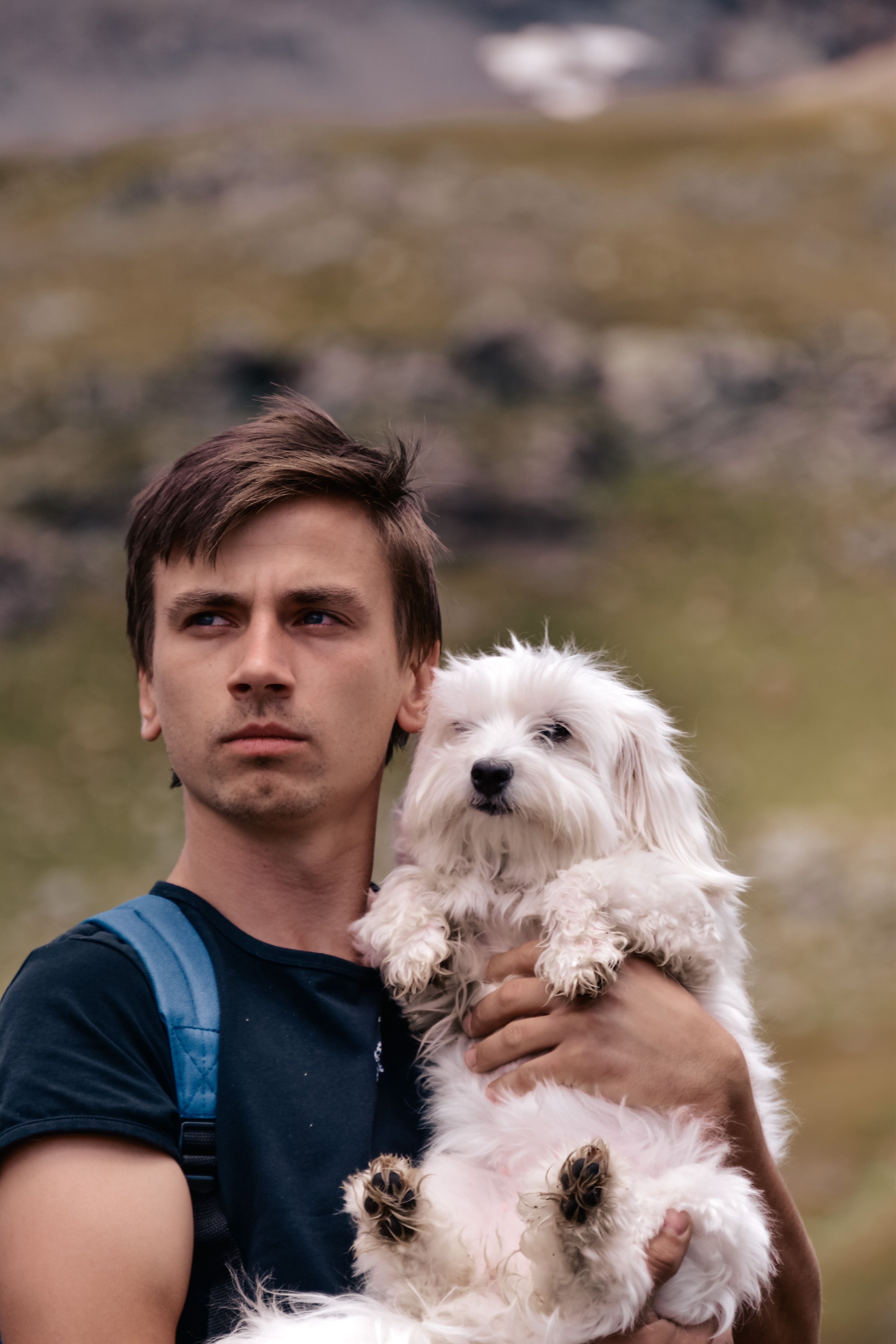 A Dog and a Man Sitting on a Field with Brown Grasses · Free Stock Photo