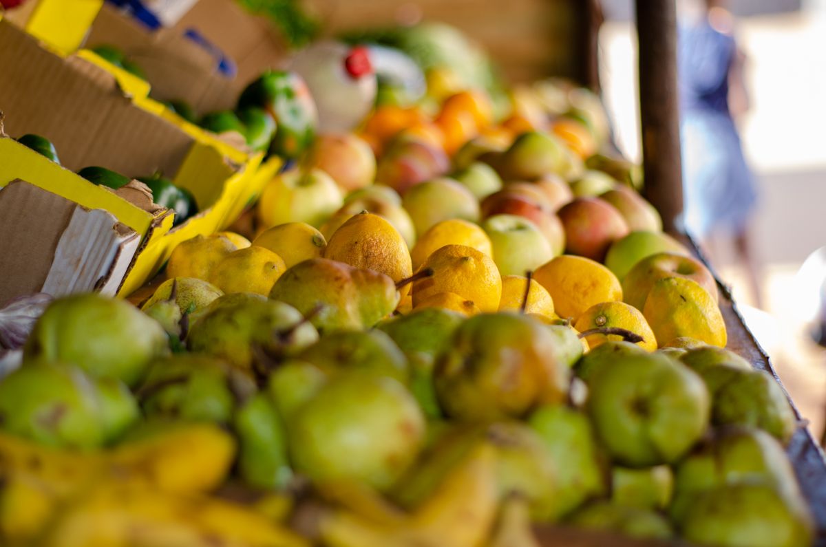 Seed Oils: What the Evidence Actually Says