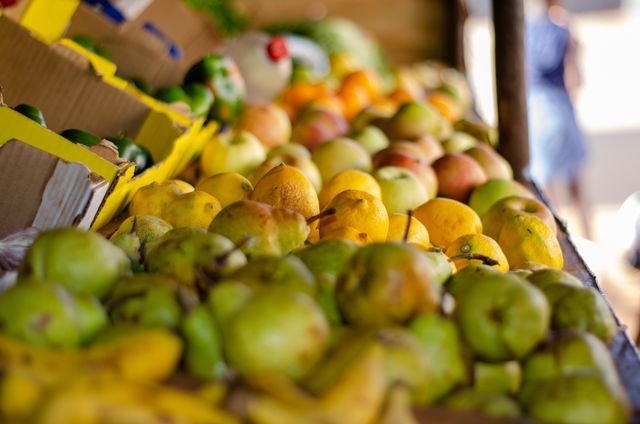 Seed Oils: What the Evidence Actually Says