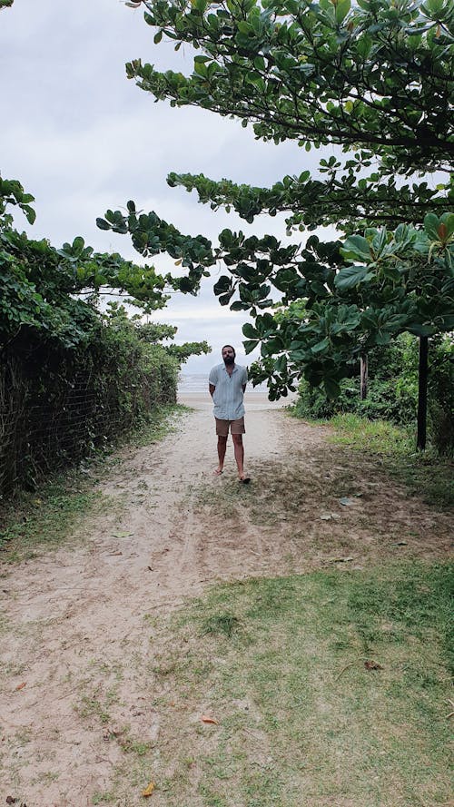 Free stock photo of beach, environment, greenery