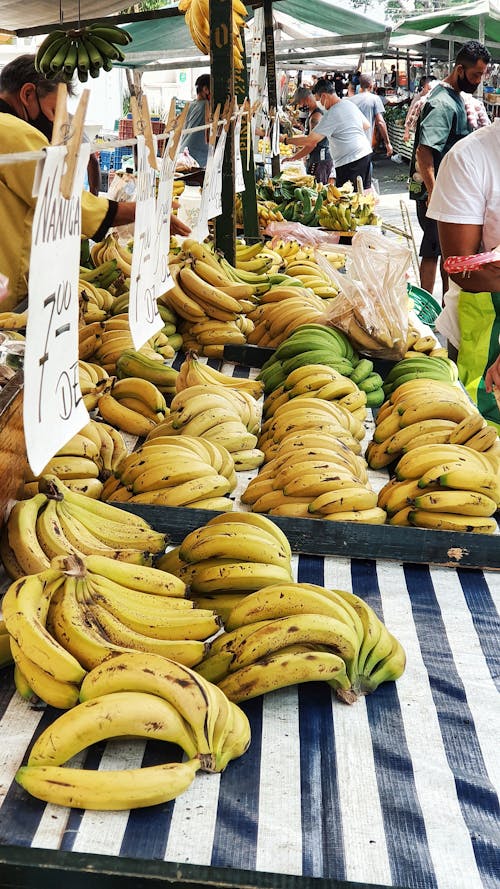 Free  Bananas on the Stall in the Market Stock Photo