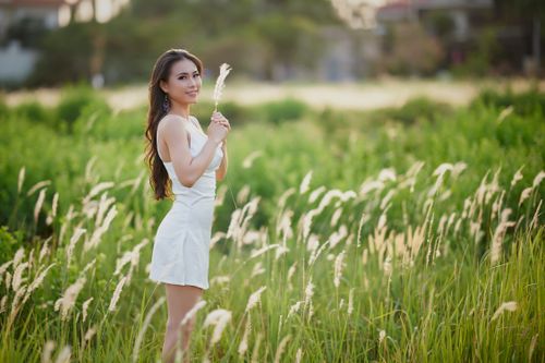 Free Beautiful Asian woman in a white dress stands amidst sunlit green field holding grass. Stock Photo