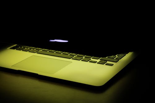 Free stock photo of apple, color, light