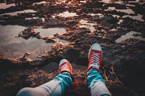 Person Wearing Red Low-top Sneakers and Jeans