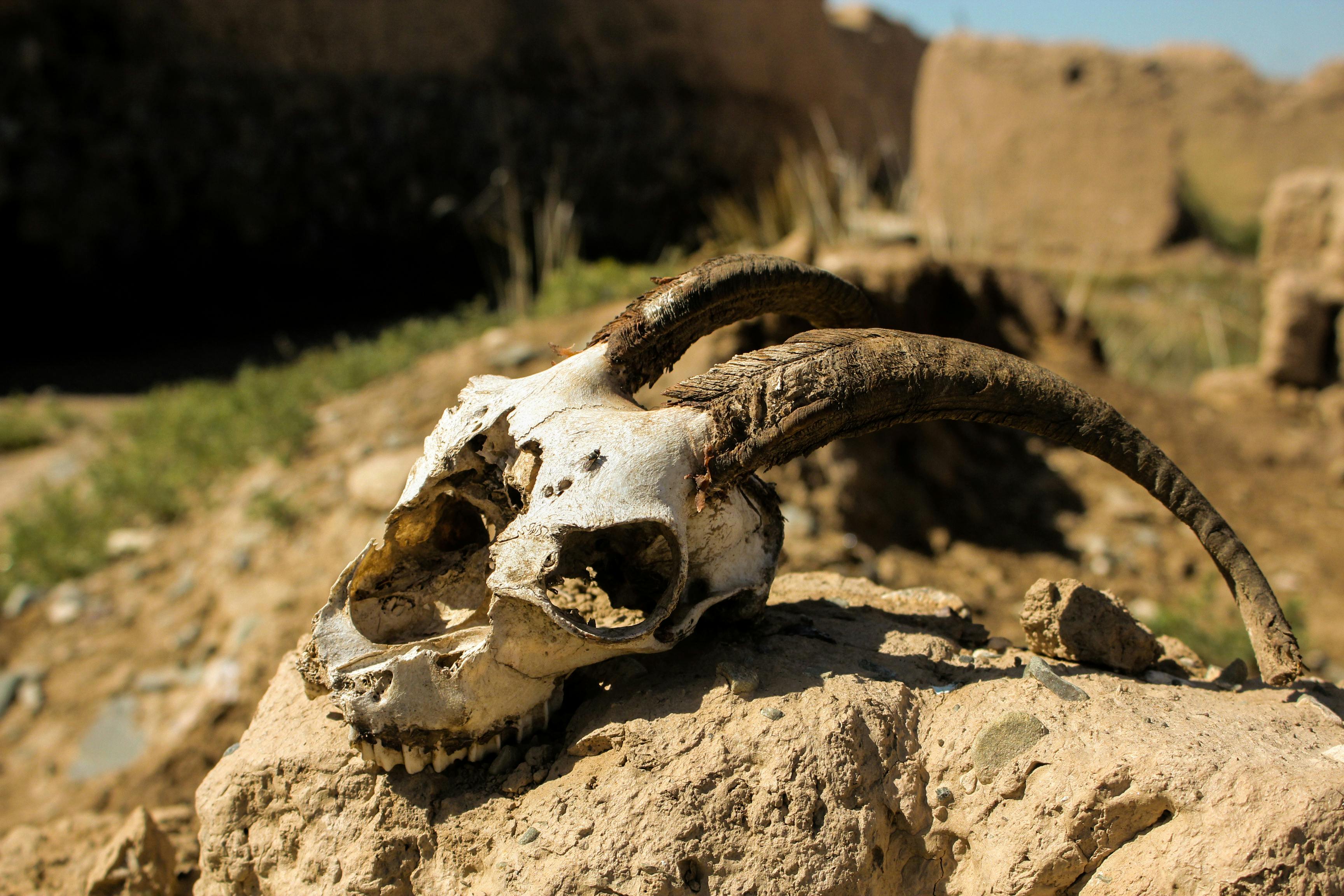 Gratuit Photos gratuites de archéologie, aride, arrière-plan Photos