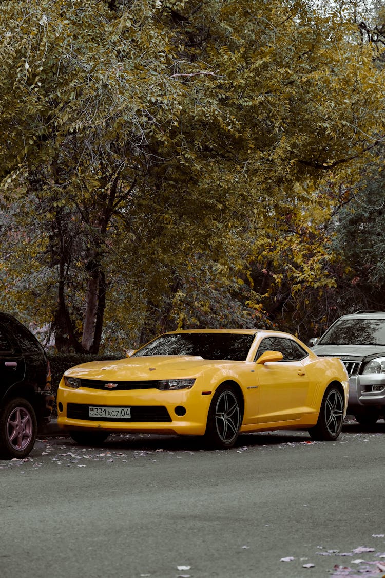 Yellow Chevrolet Camaro Parked Beside Green Trees