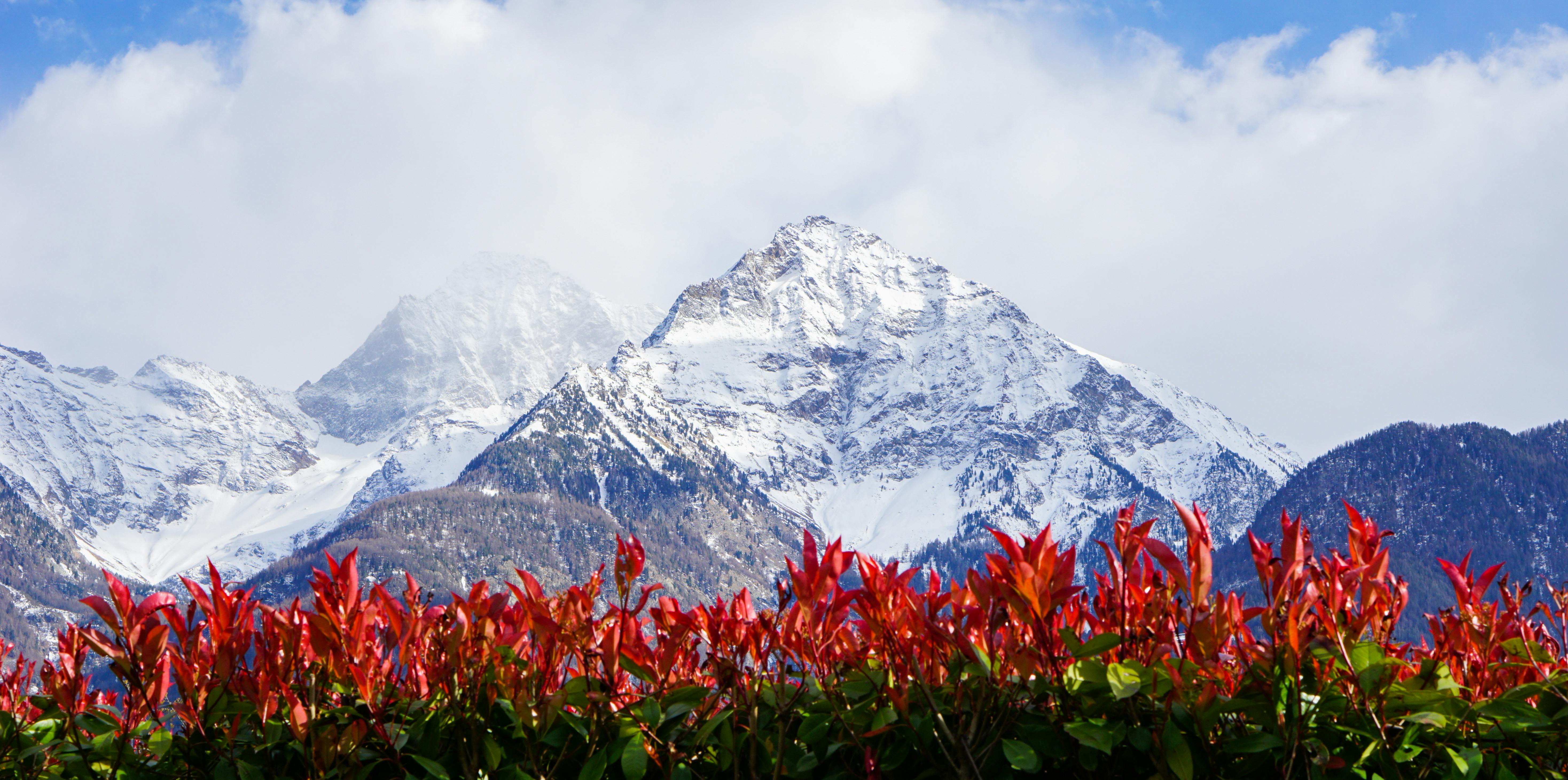 Lock in these travel deals before peak vacation season price surges — Photo by Dima Dimax on Pexels