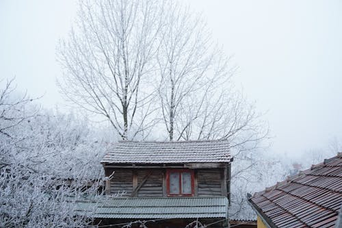 Free stock photo of cold atmosphere, winter