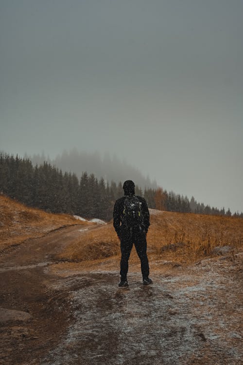 Backview of Person standing on Brown Grass