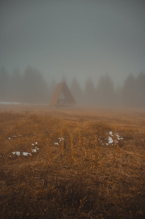 Brown Grass Field surrounded with Fog 