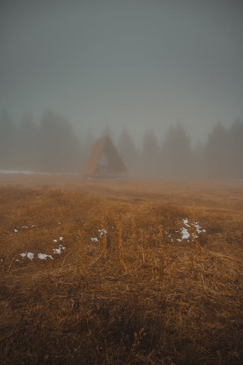 Brown Grass Field surrounded with Fog 