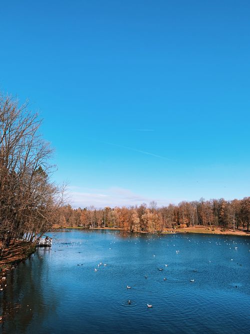 Free Beautiful autumn landscape with lake, trees, and birds under a clear blue sky. Stock Photo