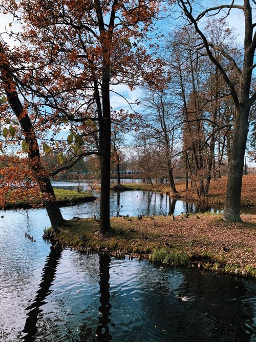Free Tranquil fall scene capturing vibrant foliage and calm river reflections. Stock Photo