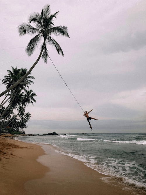 A Man Hanging using a Rope on a Palm Tree 