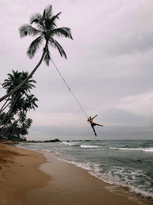 Free A man swings on a rope from a palm tree over a tropical beach, enjoying an adventurous day by the sea. Stock Photo