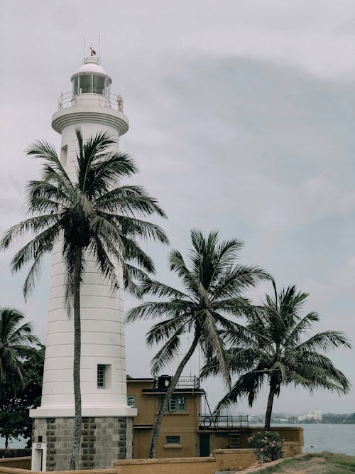 Lighthouse beside Coconut Trees under Gloomy Sky 