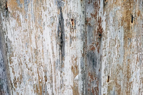 Peeling Paint on Wooden Surface