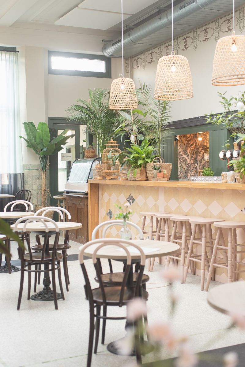 Cozy café with plants